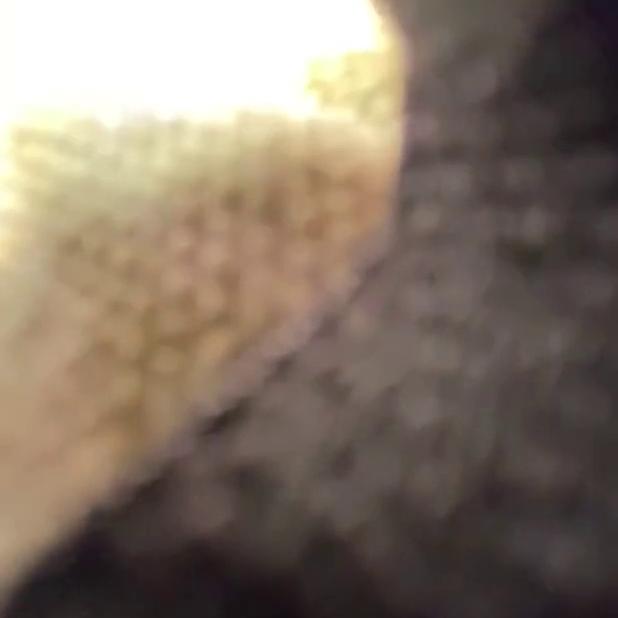Anywaybrittnaay Shangerdanger Beach Sex Tape Video Leaked