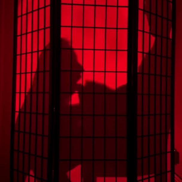 Christina Khalil New Sex Video with Moaning Vibes Behind Opaque Wall Leaked